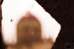 'Tejiendo el Panteón'